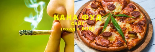 хмурый Аркадак