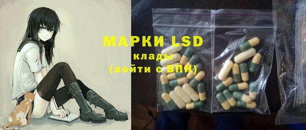 хмурый Аркадак