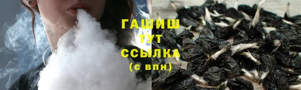 хмурый Аркадак