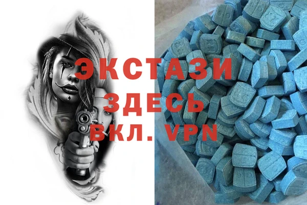 хмурый Аркадак