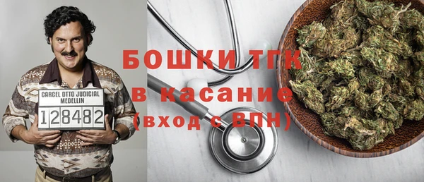 хмурый Аркадак
