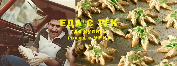 хмурый Аркадак