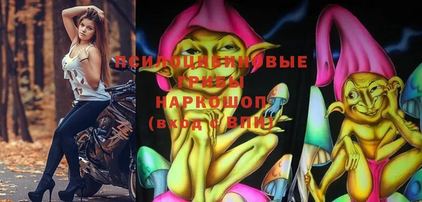 хмурый Аркадак