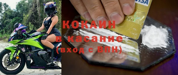 хмурый Аркадак