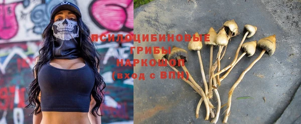бошки Армянск