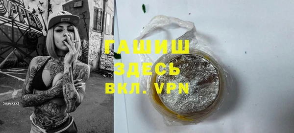 хмурый Аркадак
