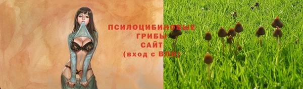 не бодяженный Арсеньев