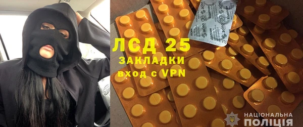 хмурый Аркадак