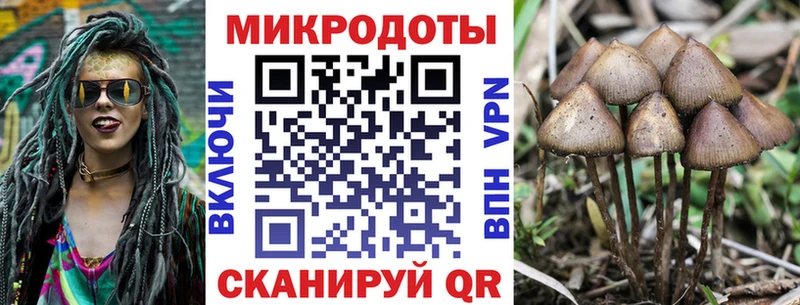 Галлюциногенные грибы Psilocybe  Купить где  Сосногорск 